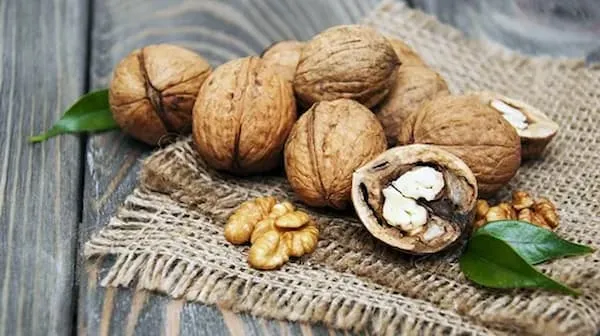 خرید گردو بسته بندی شده + بهترین قیمت